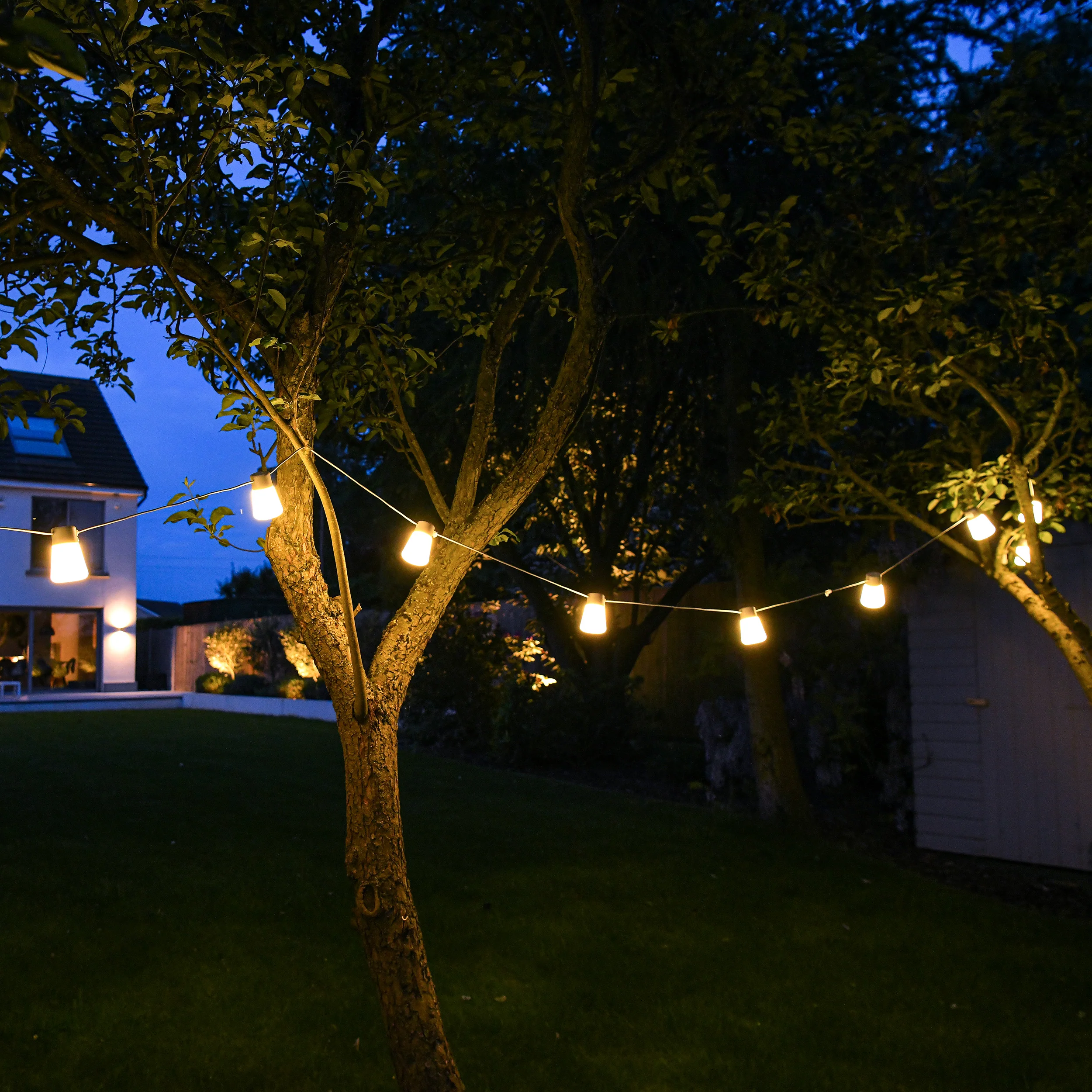 Festoon Lights - Image 5