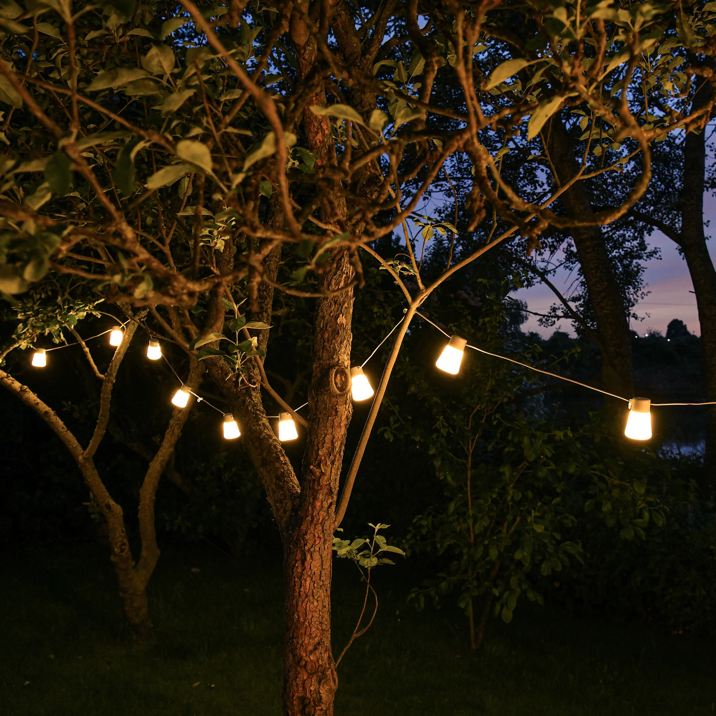 Festoon Lights - Image 6