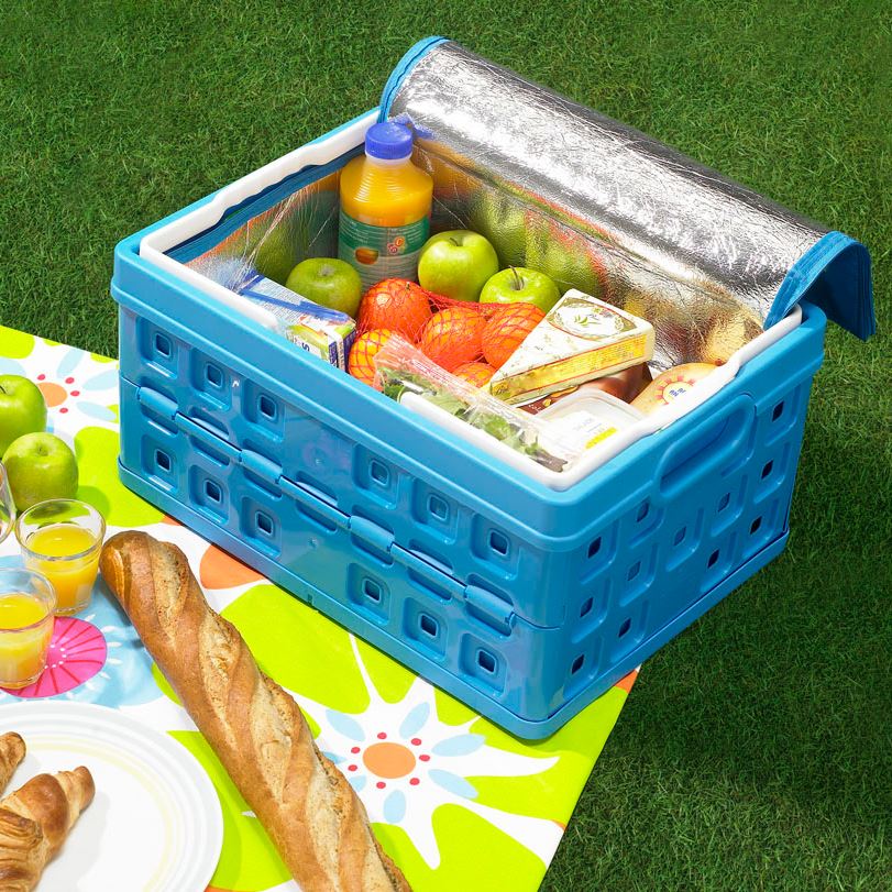 Folding Crate & Cool Bag - Image 2