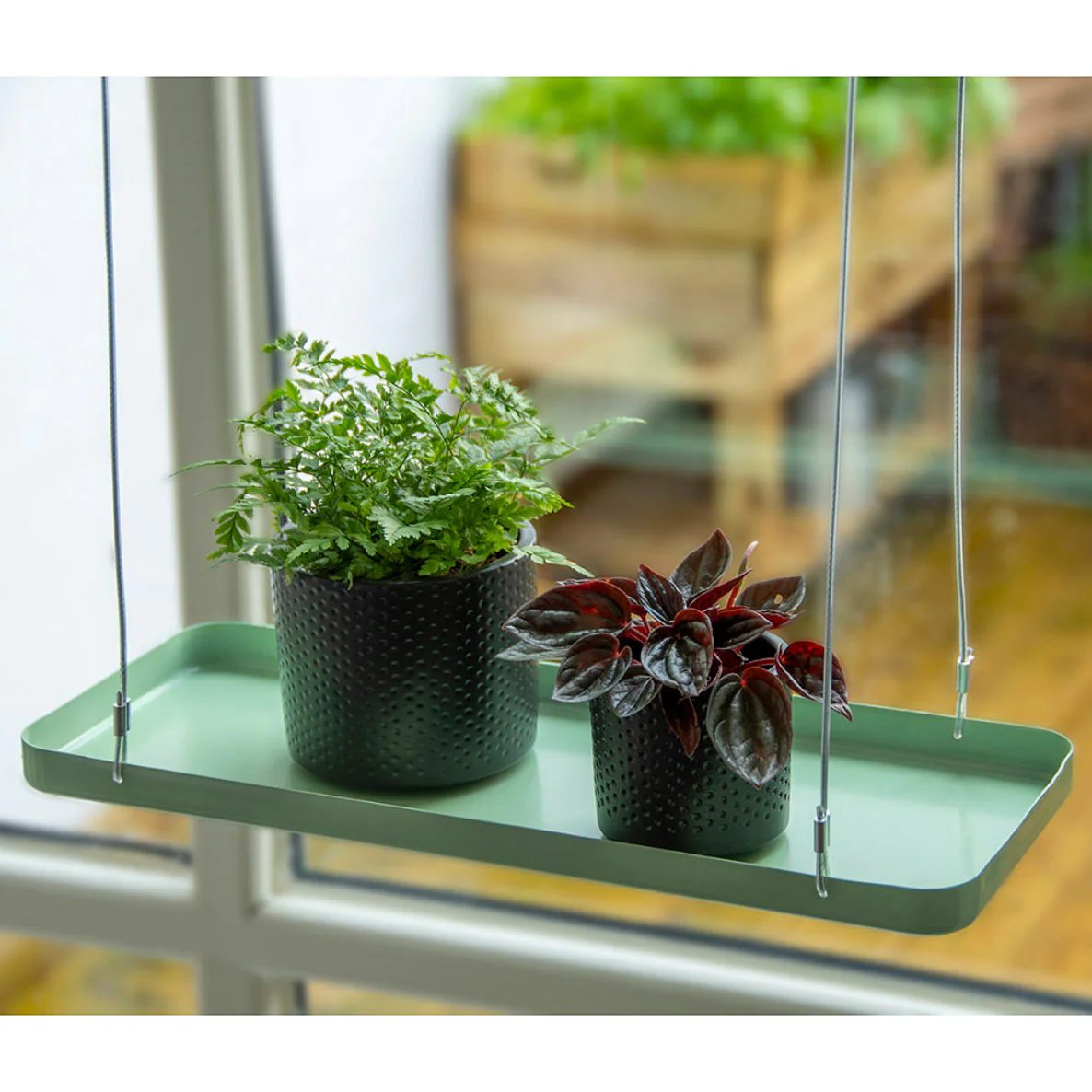 Hanging Plant Tray - Image 4