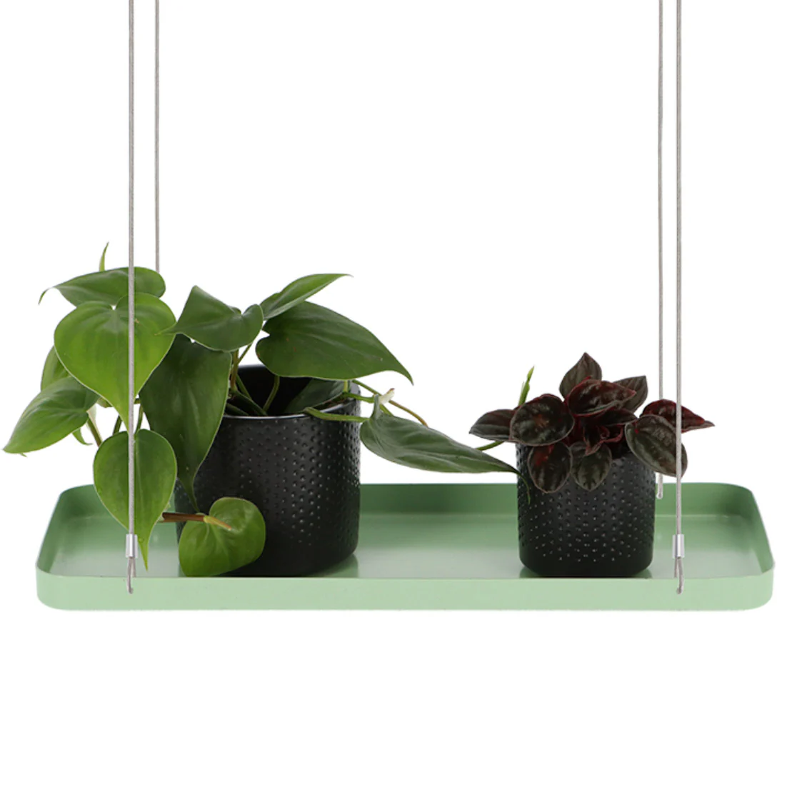 Hanging Plant Tray - Image 6