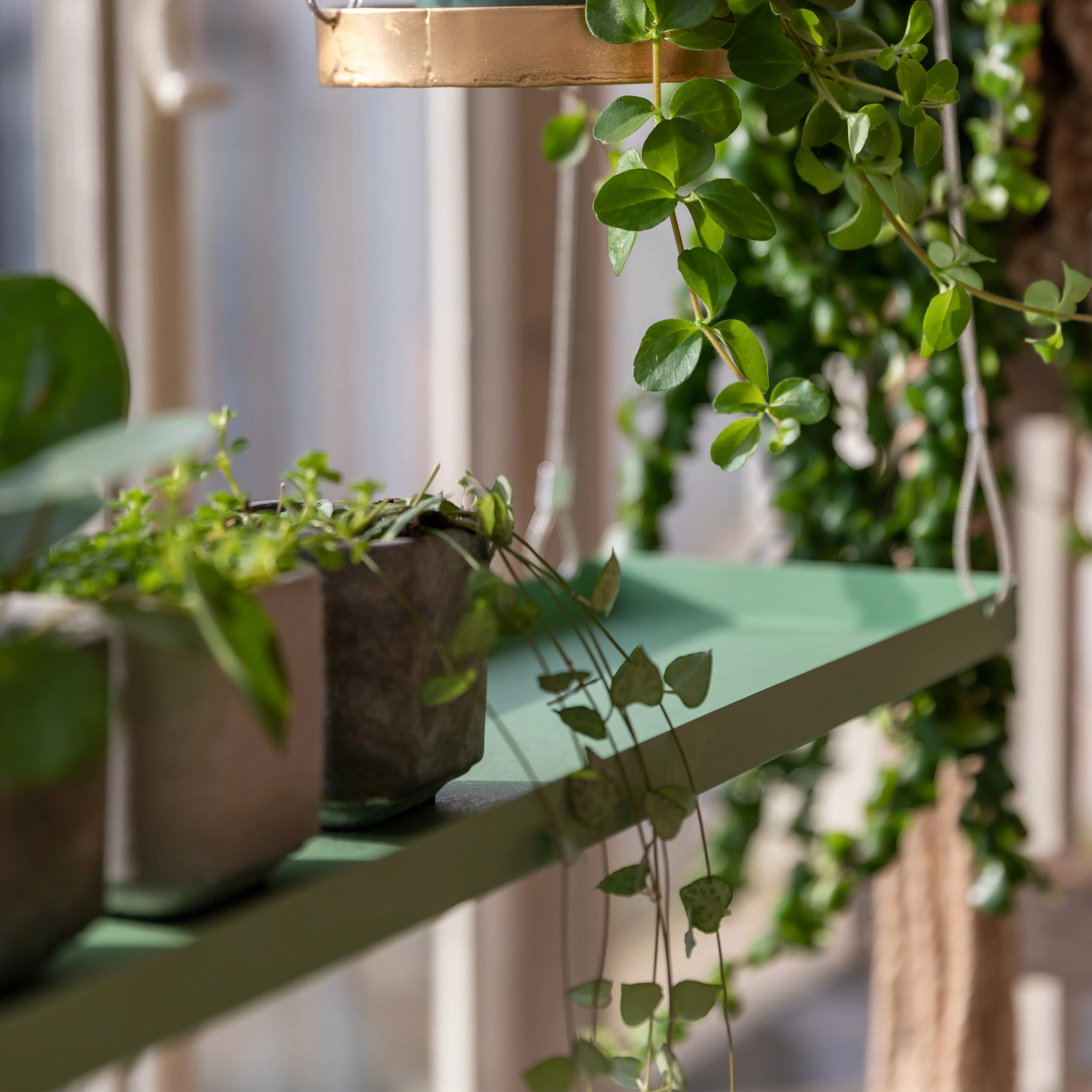 Hanging Plant Tray - Image 7
