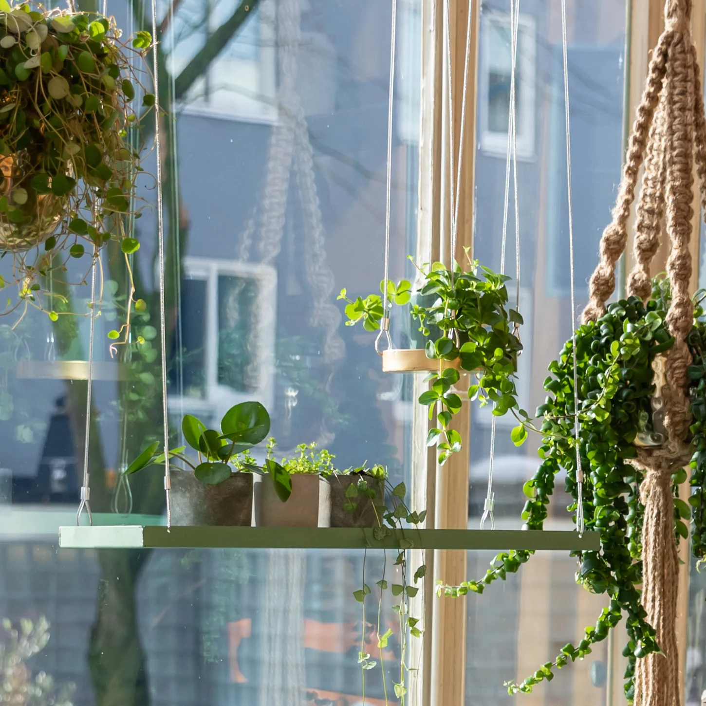Hanging Plant Tray - Image 8