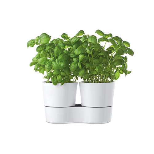 Hydro Herb Twin Pots - Image 5