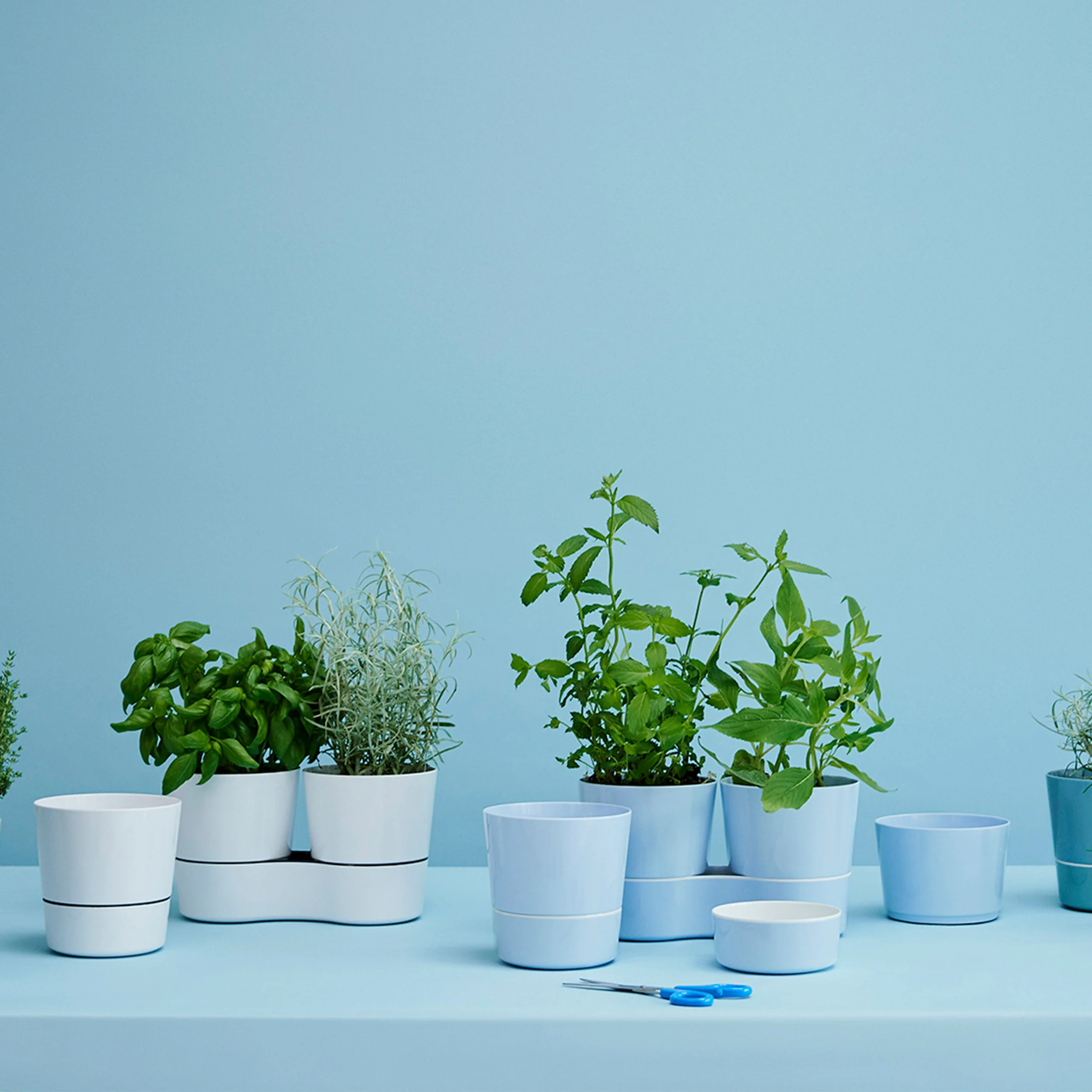Hydro Herb Twin Pots - Image 6