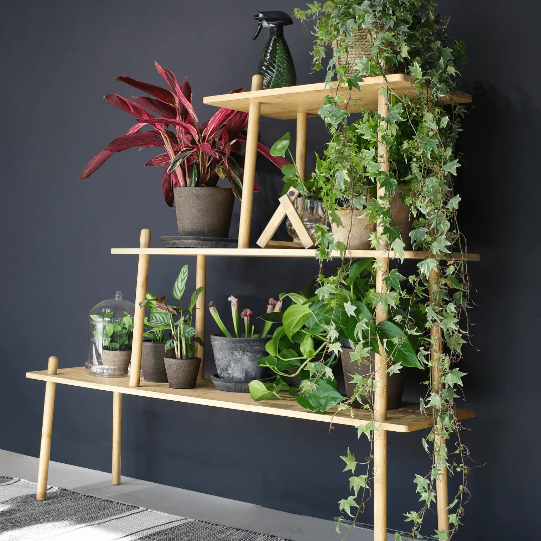 Natural Bamboo Shelving Unit – 3-Tier Display Rack