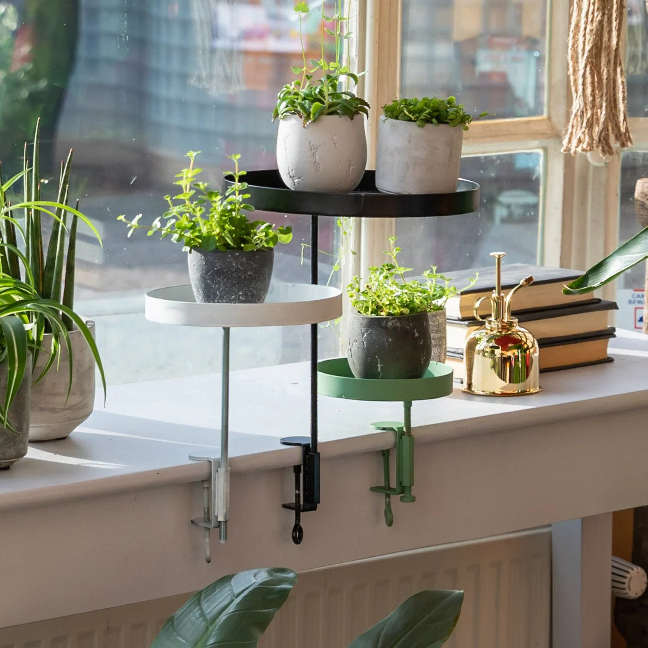 Windowsill Clamp Tray - Small - Image 6
